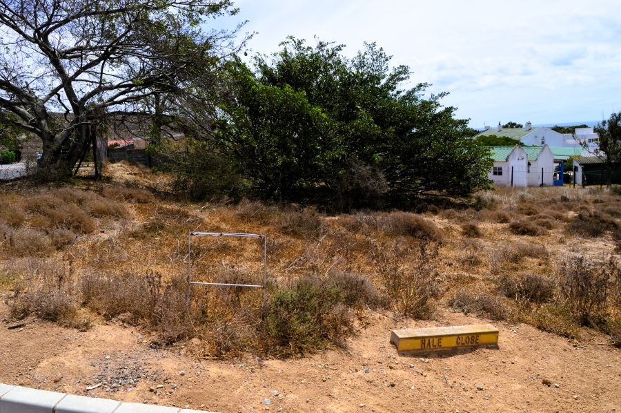 0 Bedroom Property for Sale in Steenbergs Cove Western Cape